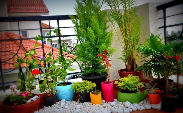 Идеи за градинарство на балкона