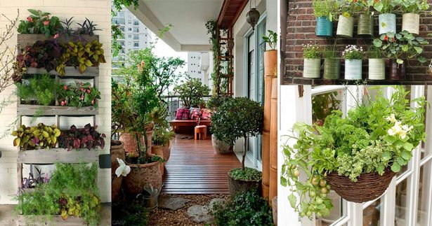 Идеи за балконска градина