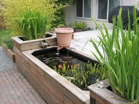 Идеи за градинско езерце