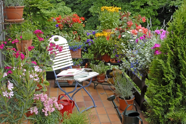 Идеи за цветя на вътрешния двор patio-blume-ideen-21_11