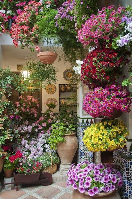 Идеи за цветя на вътрешния двор patio-blume-ideen-21_14