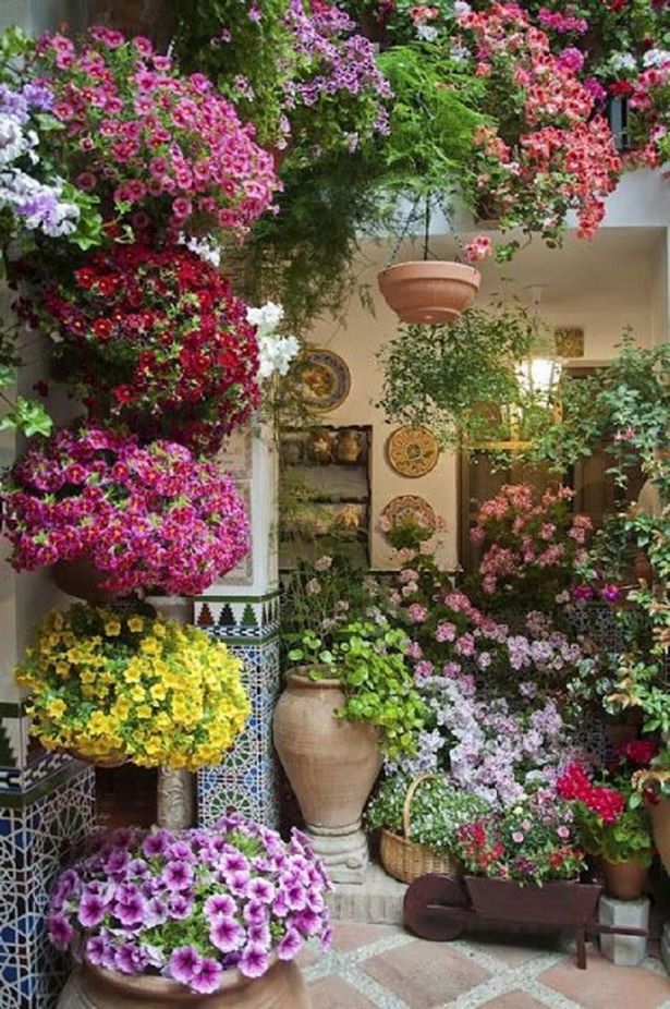 Идеи за цветя на вътрешния двор patio-blume-ideen-21_3