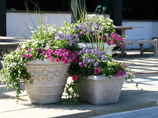 Идеи за цветя на вътрешния двор patio-blume-ideen-21_7