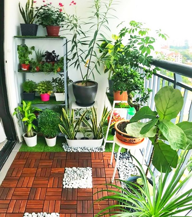 Идеи за градина на терасата на апартамента