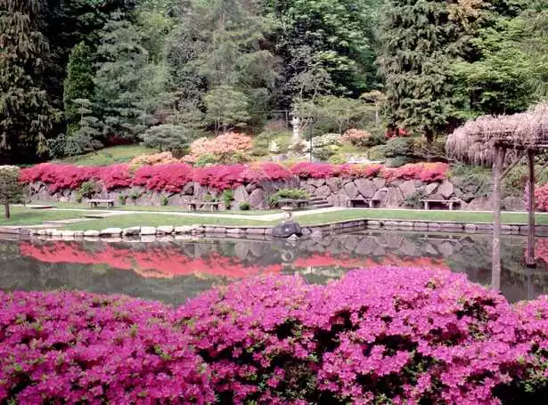 История на японските градини geschichte-der-japanischen-garten-38_3-11