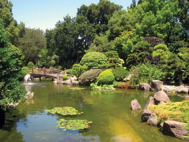 История на японските градини geschichte-der-japanischen-garten-38_5-14