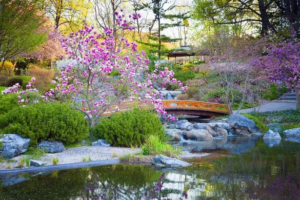 Японски градини снимки japanische-garten-fotos-57_10-2