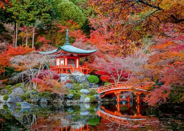 Японски градини снимки japanische-garten-fotos-57_17-9