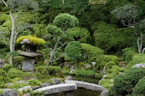 Японски градини снимки japanische-garten-fotos-57_2-11