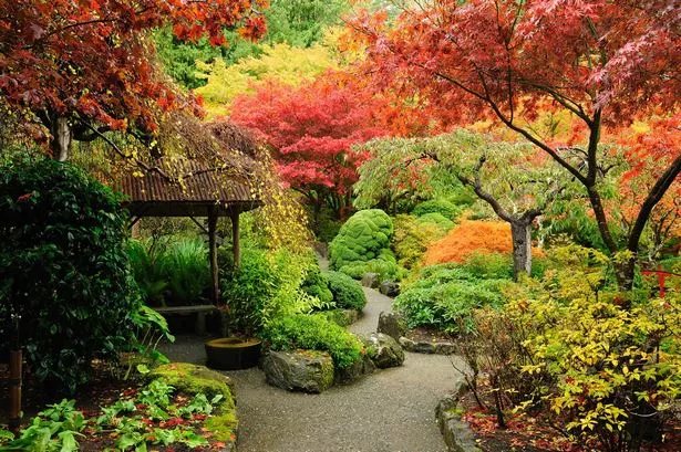 Японски градини снимки japanische-garten-fotos-57_3-12