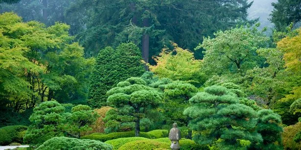 Японски градини снимки japanische-garten-fotos-57_6-15