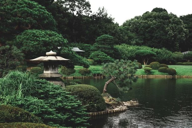 Японски градини снимки japanische-garten-fotos-57_9-18