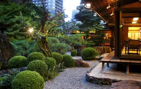 Японски градински растения и дървета japanische-gartenpflanzen-und-baume-05_7-18