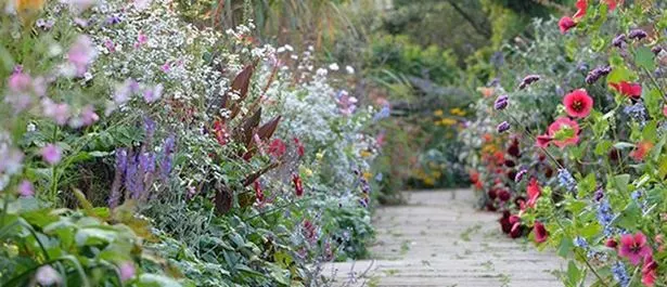 Как да създадете английска вила градина so-erstellen-sie-einen-englischen-cottage-garten-83_12-4