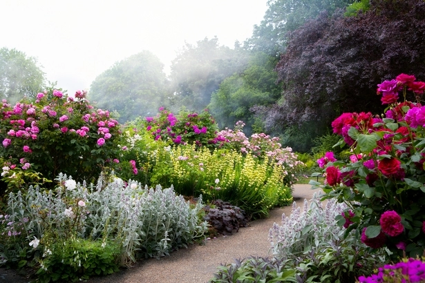 Как да създадете английска вила градина so-erstellen-sie-einen-englischen-cottage-garten-83_14-6