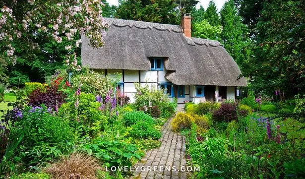 Как да създадете английска вила градина so-erstellen-sie-einen-englischen-cottage-garten-83_15-7