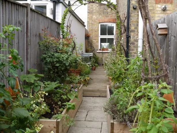 Как да създадете английска вила градина so-erstellen-sie-einen-englischen-cottage-garten-83_16-8