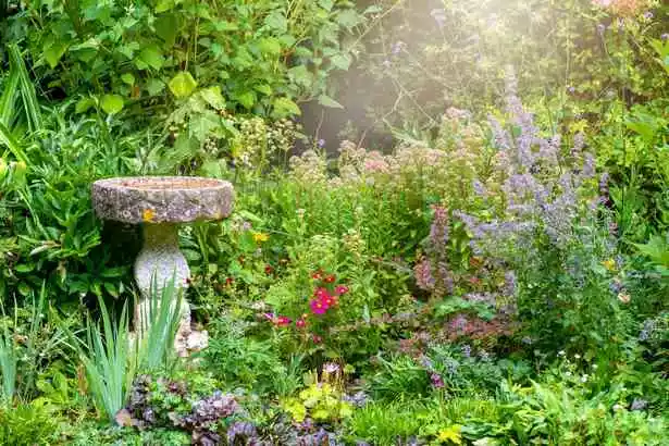 Как да създадете английска вила градина so-erstellen-sie-einen-englischen-cottage-garten-83_17-9