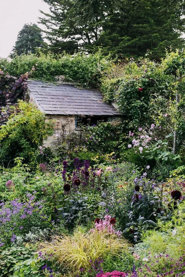 Как да създадете английска вила градина so-erstellen-sie-einen-englischen-cottage-garten-83_18-10