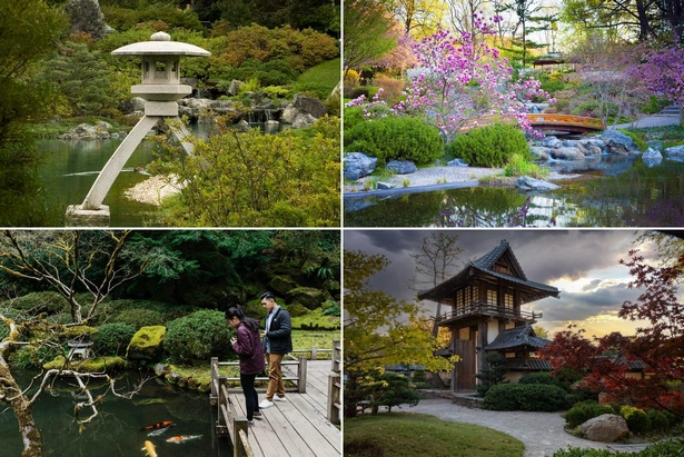 Японски градини снимки japanische-garten-fotos-001