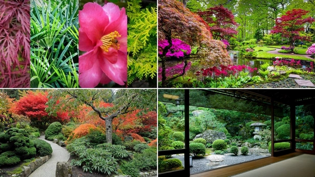 Японски градински растения