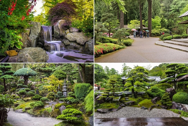 Снимки на японски градински растения
