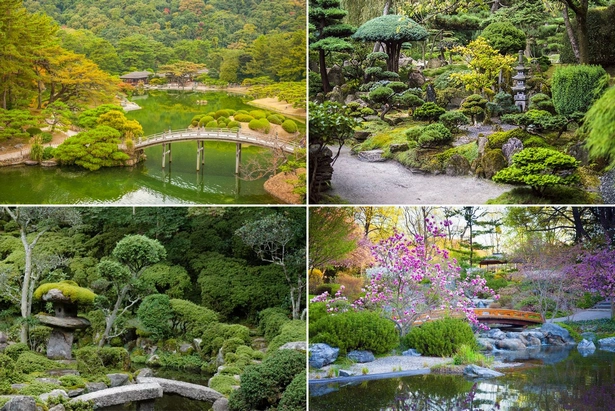 Японски градина снимки изображения и снимки