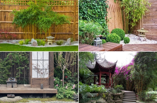 Японски бамбук градина дизайн