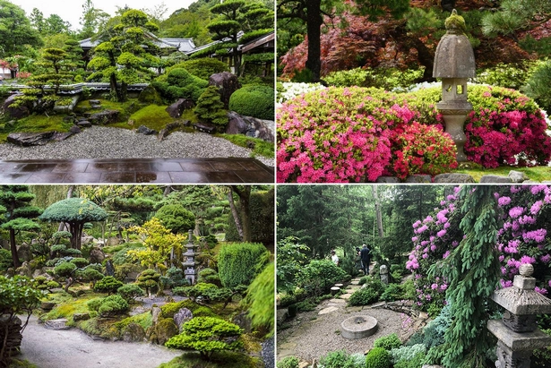 Растения за японски градини