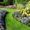 Евтини идеи за озеленяване на задния двор