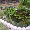 Идеи за дизайн на малко градинско езерце