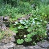 Идеи за малко градинско езерце