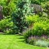 Идеи за озеленяване за поверителност в задния двор