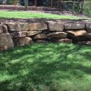 Идеи за озеленяване на скални стени