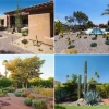 Заден двор пустинен ландшафтен дизайн