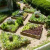 Идеи за зеленчукова градина с повдигнато легло