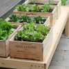 Зеленчуково градинарство в малки пространства