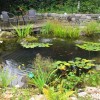 Градина с езерце