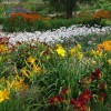 Идеи за цветна градина
