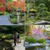 Японски градини снимки