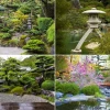 Японски градински дървета и растения