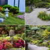 Японски пейзажни растения