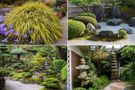 Малки японски градински растения